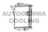 AUTOGAMMA 105746 Radiator, engine cooling